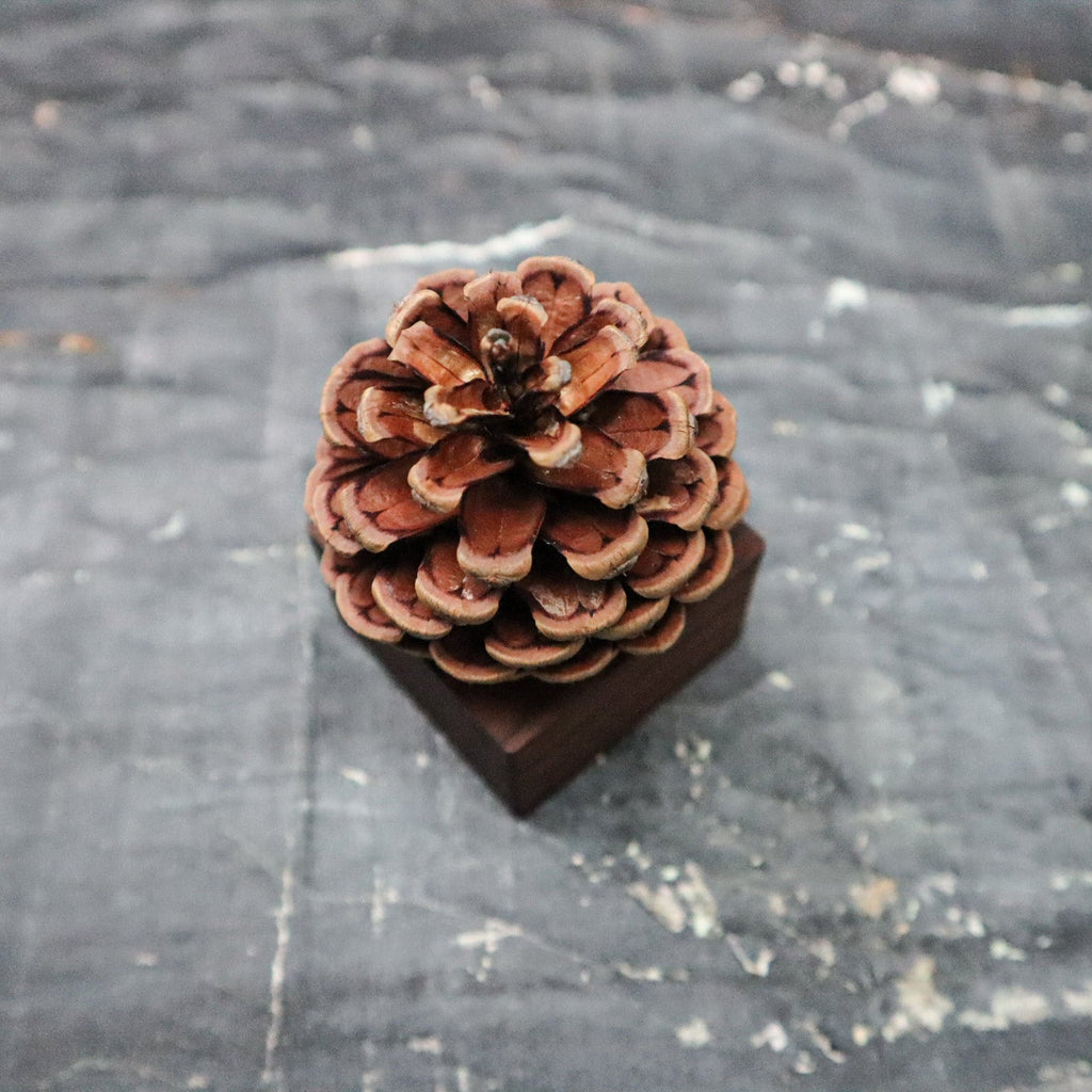 Pinecone Wooden Essential Oil Diffuser