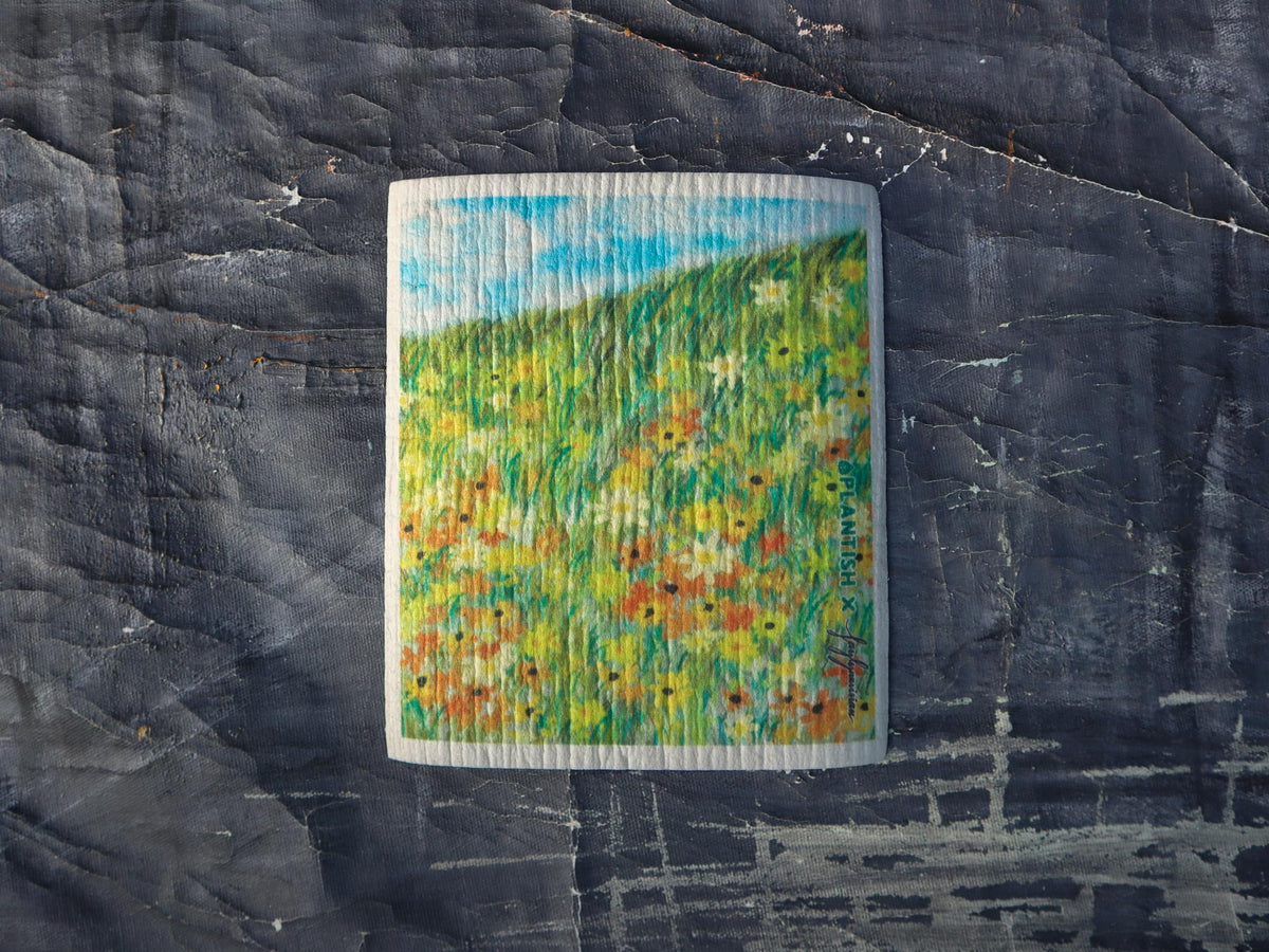 Picturesque Artistry - Swedish Sponge Cloth Set-2